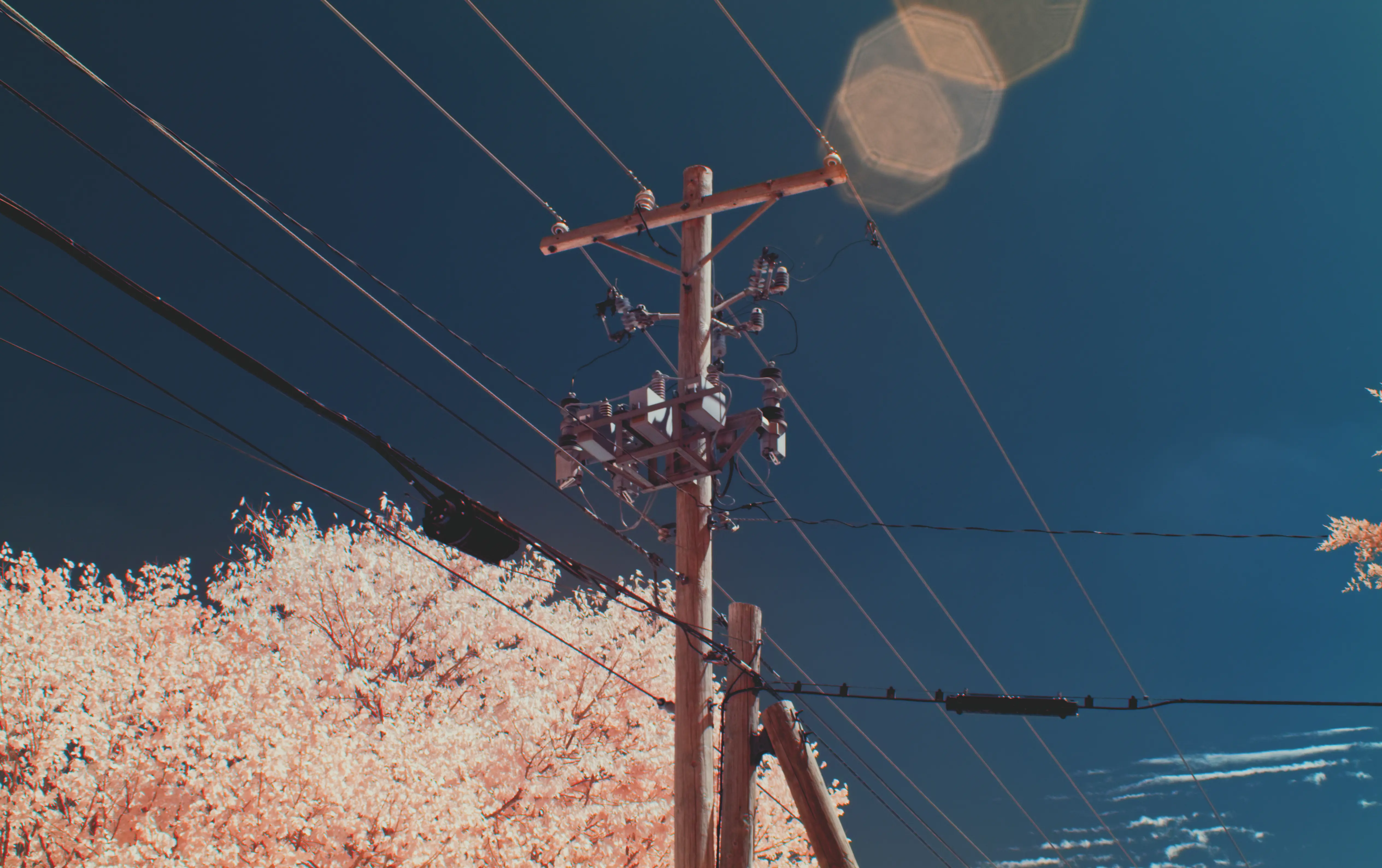 Desktop banner image 7